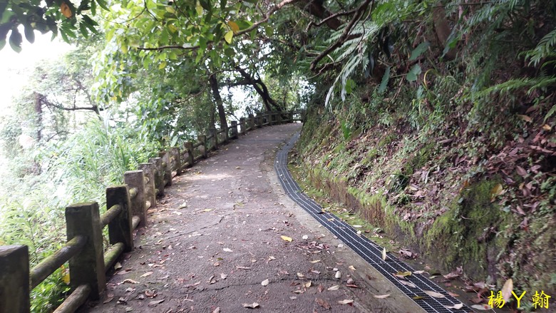 【郊山走走】北市近郊親子健行步道 仙跡岩