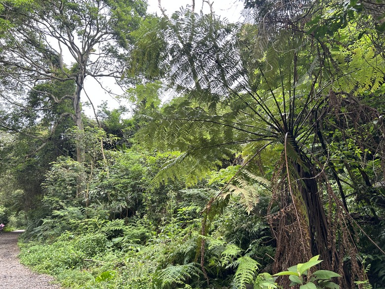 比百岳石門山更難的小百岳-桃園石門山步道