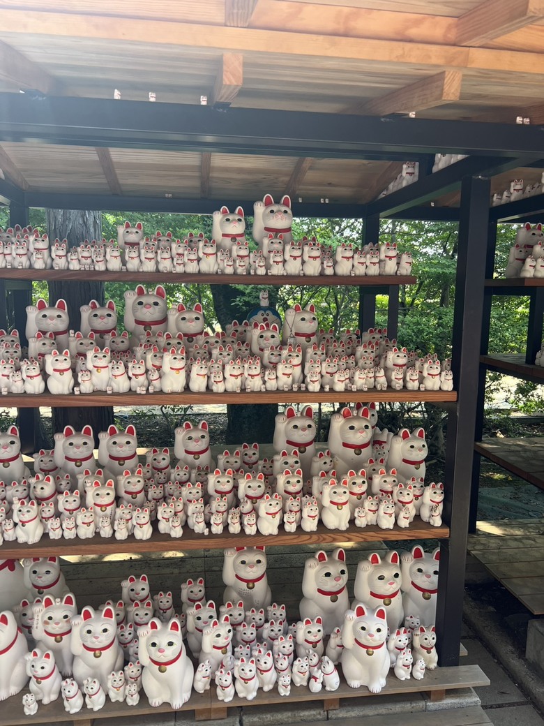 【東京五日自由行】美食美景一次擁有