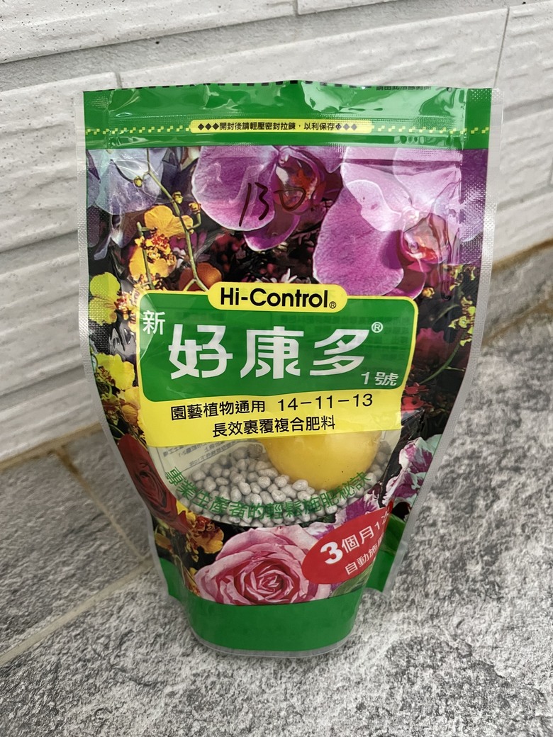 茉莉花苞枯黃