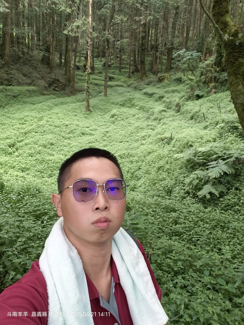 阿里山旅居 啟示與反思