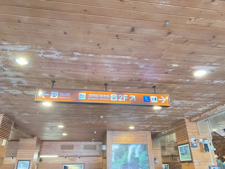 【阿里山開箱】搭神木線森林小火車 × 漫步巨木群步道 ｜走進檜木森林與時光的深處