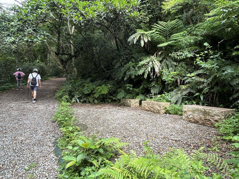 比百岳石門山更難的小百岳-桃園石門山步道