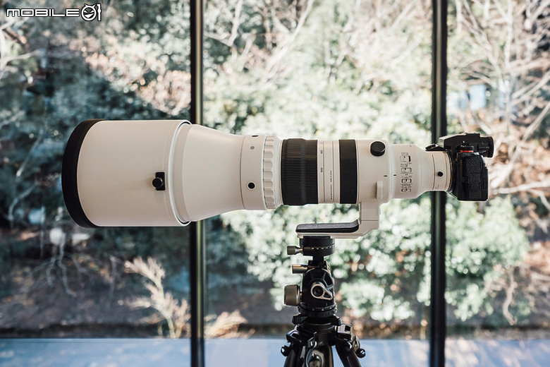 Sigma 300-600mm f/4 DG OS Sports 評測報告|超望遠內變焦新標竿、一鏡封神誰與爭鋒!