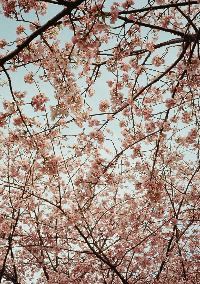 Pentax 17 旅行分享