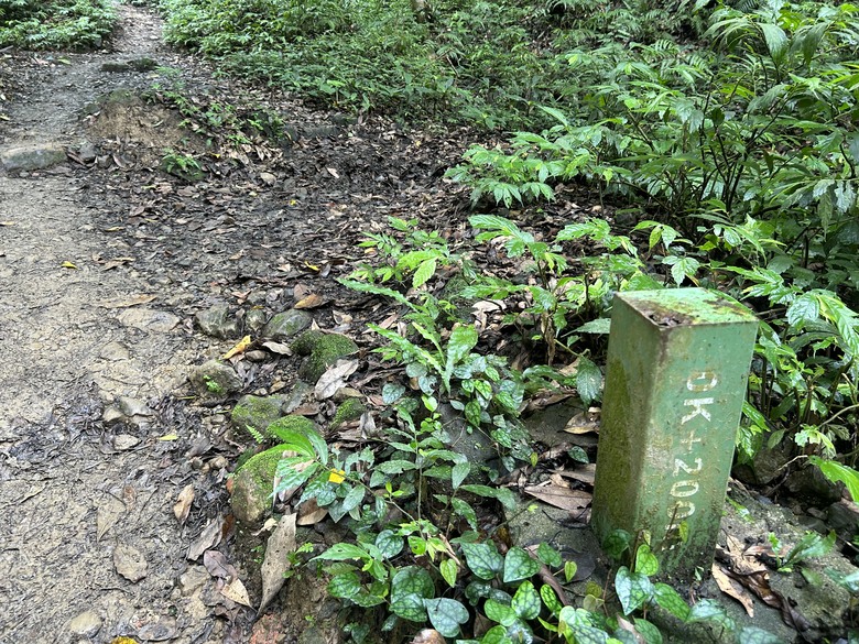 比百岳石門山更難的小百岳-桃園石門山步道