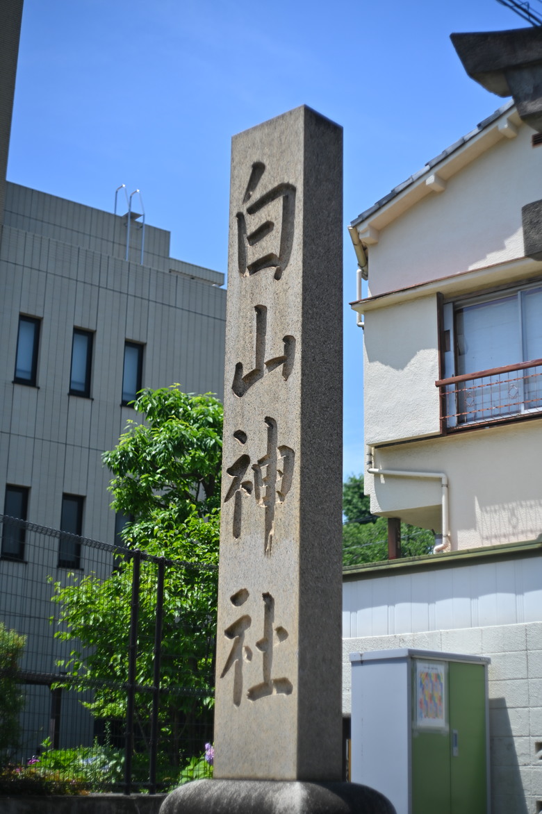 東京市區也可欣賞整片的紫陽花-文京區白山神社紫陽花季
