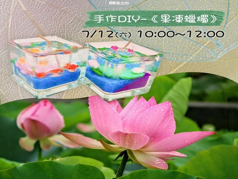 2025雙溪荷花季│7公頃綠田粉蓮海 邀你來場夏日田園派對！