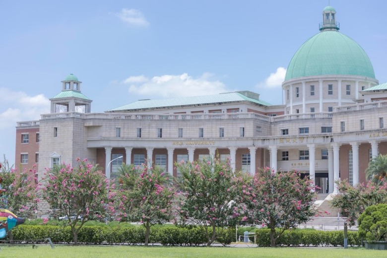 亞洲大學紫薇花綻放中！唯美花海x歐風建築 每一幀都美如畫