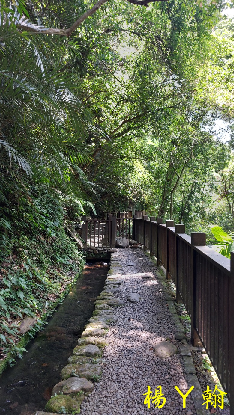 【郊山走走】烏來蝴蝶公園消暑愜意、輕鬆健行溪瀧步道、古圳步道