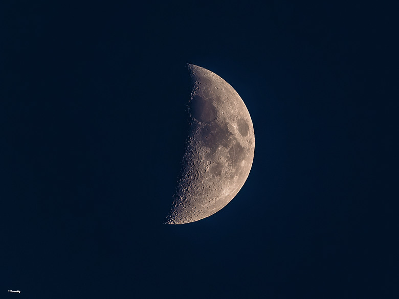披著 Sport 的 Art！Sigma 500mm f/5.6 DG DN OS Sports （誠邀各位前輩蓋樓入住）