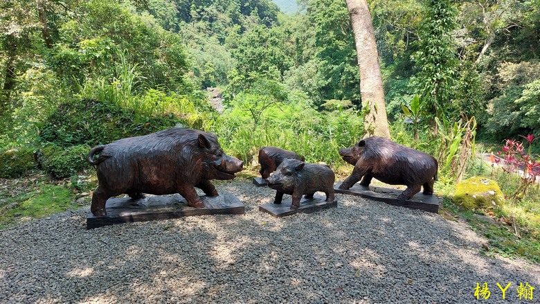 【郊山走走】烏來蝴蝶公園消暑愜意、輕鬆健行溪瀧步道、古圳步道