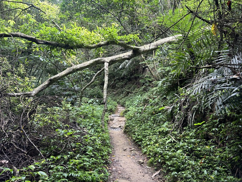 比百岳石門山更難的小百岳-桃園石門山步道