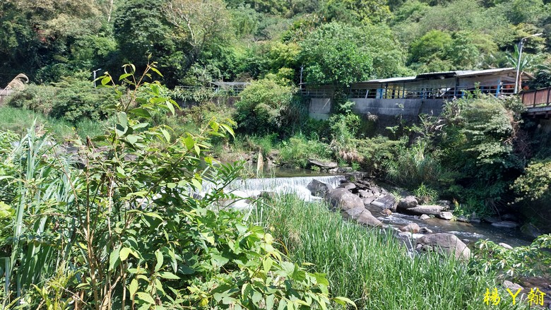 【郊山走走】烏來蝴蝶公園消暑愜意、輕鬆健行溪瀧步道、古圳步道