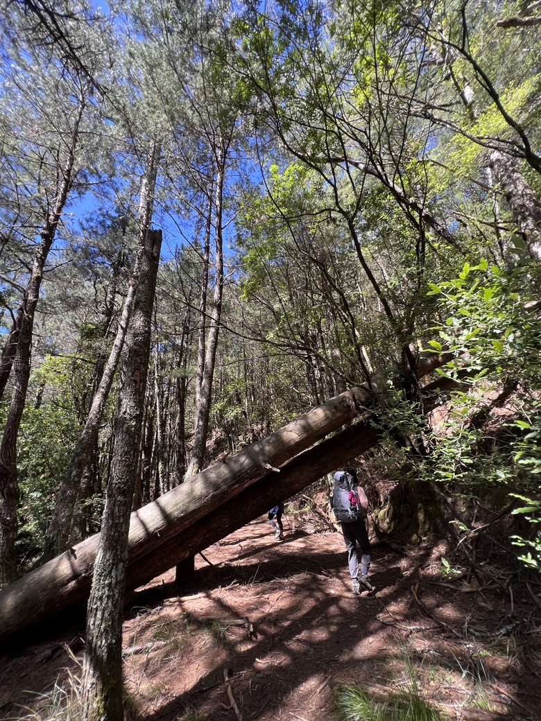 登鈴鳴閂山 ,被颱風追趕