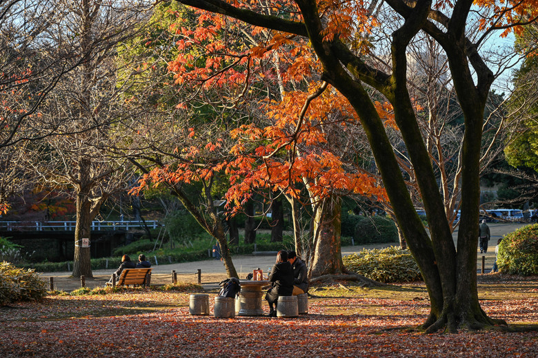 Z7II+Z24-120mm