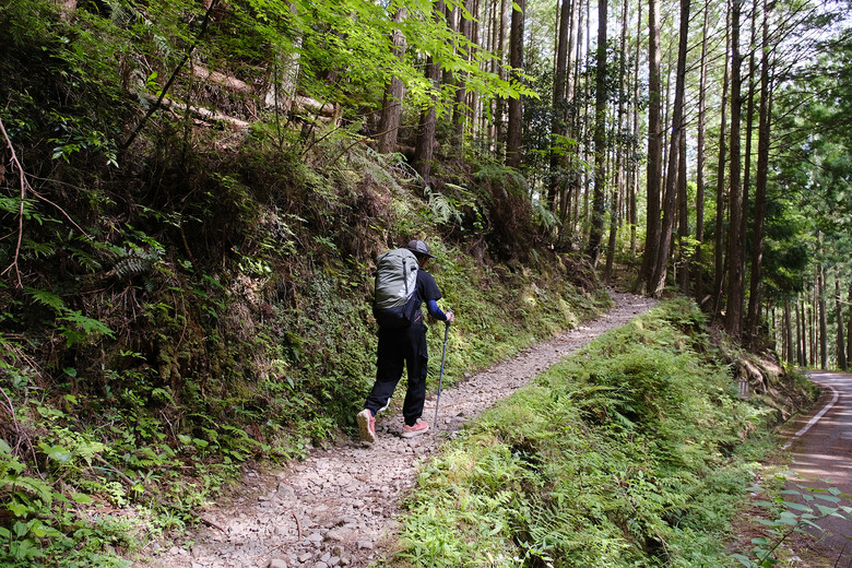 【熊野古道 Kumano Kodo】唯二的世界文化遺產朝聖之路 |中邊路38公里徒步之行