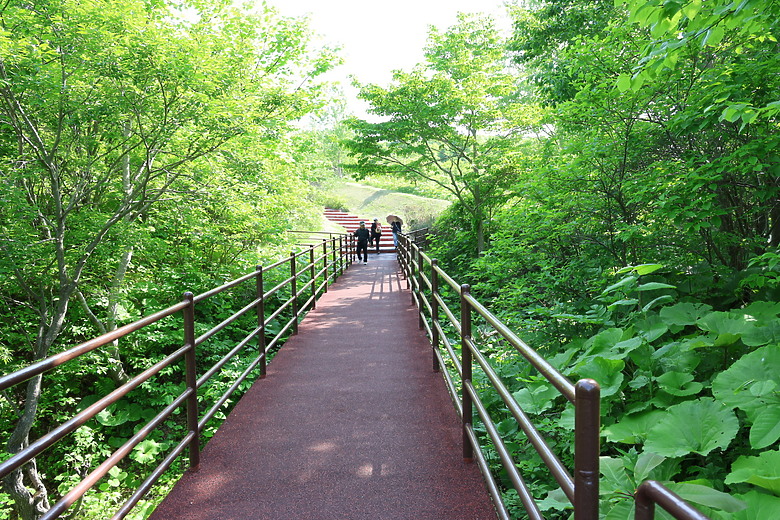 點我看大圖 夏日北海道自由行-洞爺+支笏湖篇(筒倉展望台/有珠山/遊覽船/夏日花火/登別地獄谷/支笏湖/Soul Store湯咖哩)