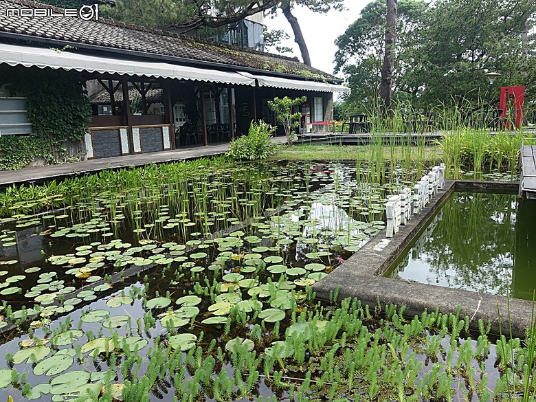 花蓮將軍府1936、花蓮港放送局1944、松園別館、花蓮文化創意產業園區、台灣鐵路局花蓮管理處處長官邸、野光 Fluorescent (原：黑金通) — 花蓮市區3小時快閃行旅