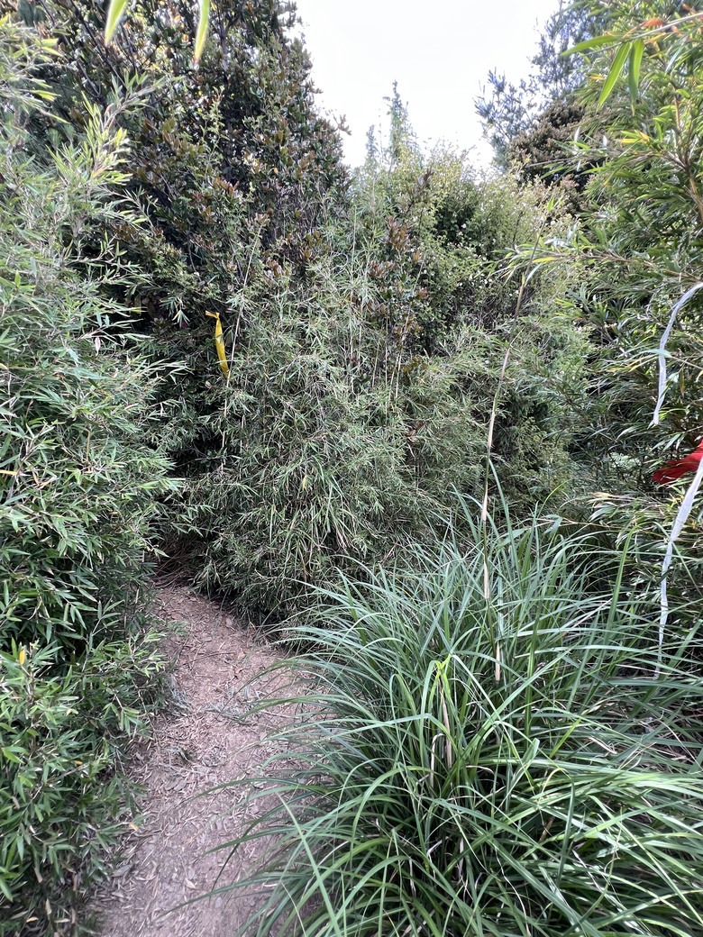 登鈴鳴閂山 ,被颱風追趕