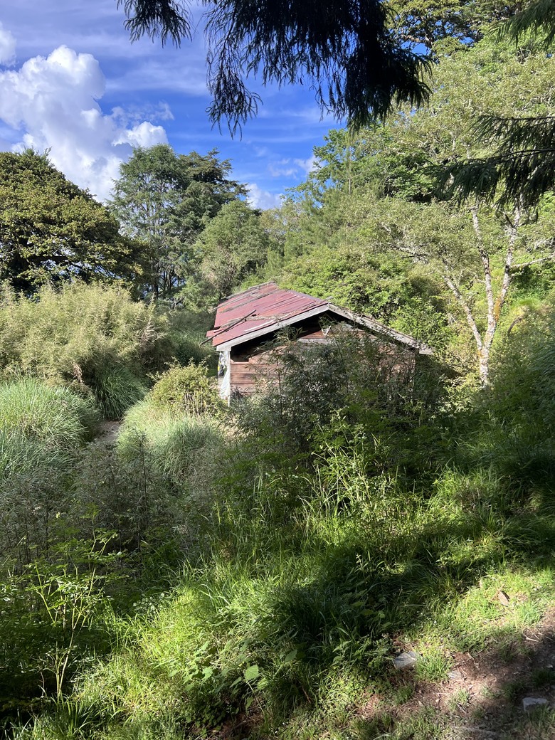 登鈴鳴閂山 ,被颱風追趕