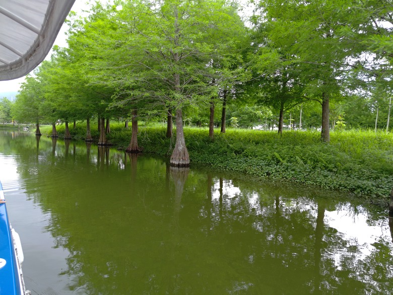 點我看大圖 【遊記】在花蓮只要跟「星巴克」有關,就會成為「熱門景點」,A2 水岸 - 大漠國渡