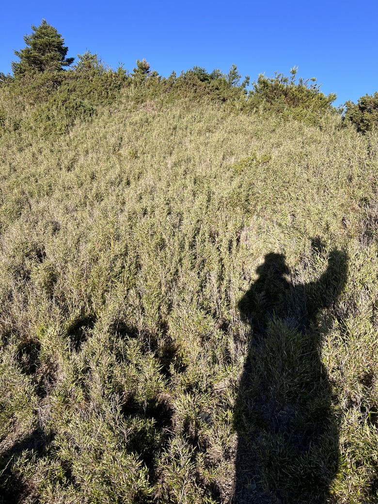 登鈴鳴閂山 ,被颱風追趕
