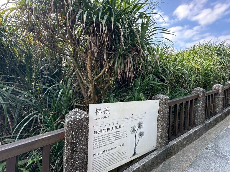 暑假和平島一日遊，順勢體驗路上能見度很高的HS和CR-V