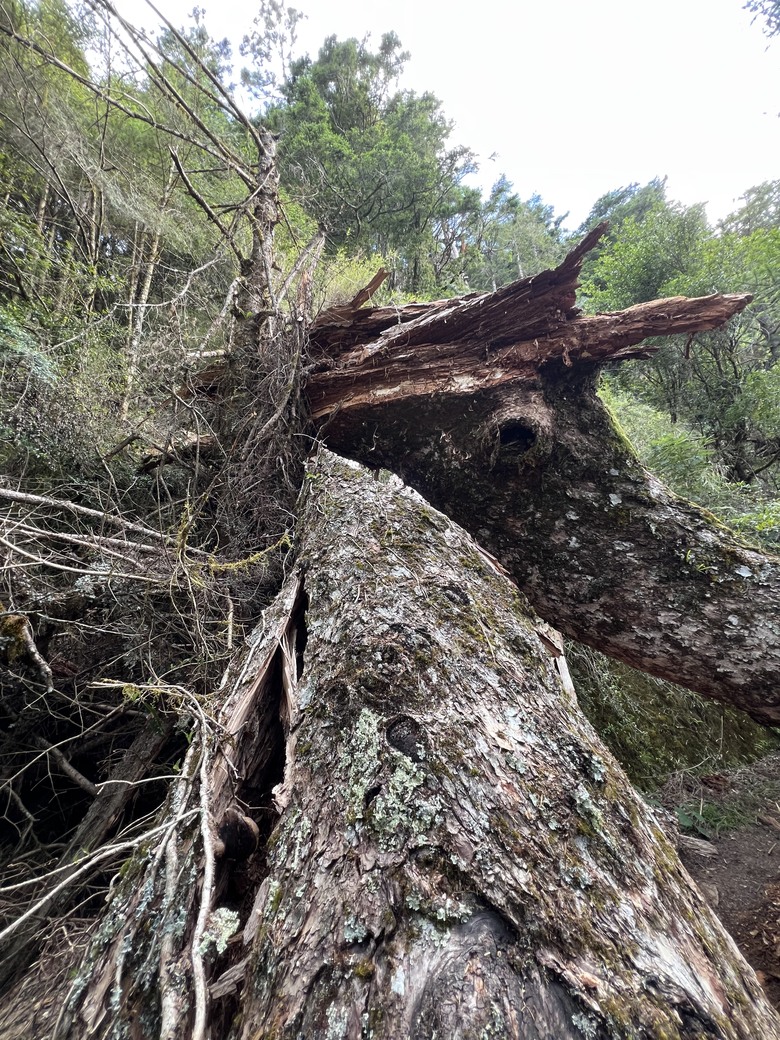 登鈴鳴閂山 ,被颱風追趕