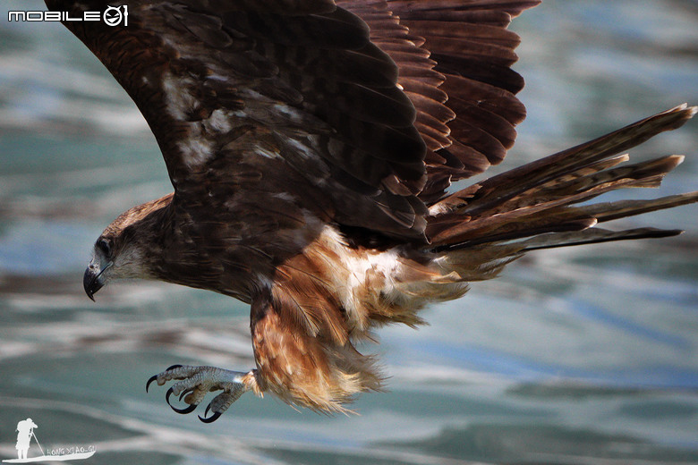 FE 400-800mm F6.3-8 G OSS 蓋大樓