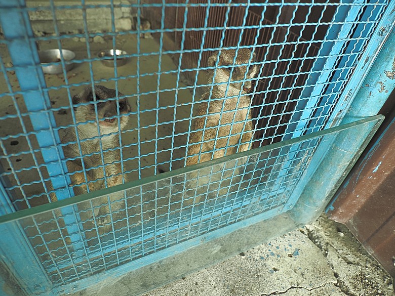 龜山島賞海豚、青蔥農場體驗蔥農生活、享用宜蘭在地無菜單料理 — 讓大腦放空休息一天之員工旅遊