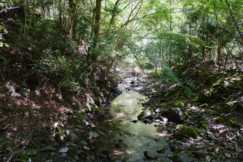 【熊野古道 Kumano Kodo】唯二的世界文化遺產朝聖之路 |中邊路38公里徒步之行