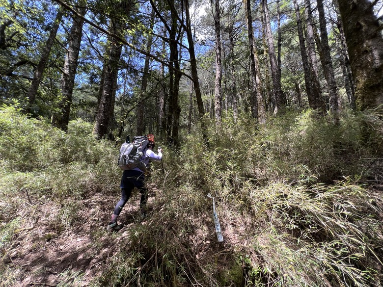登鈴鳴閂山 ,被颱風追趕