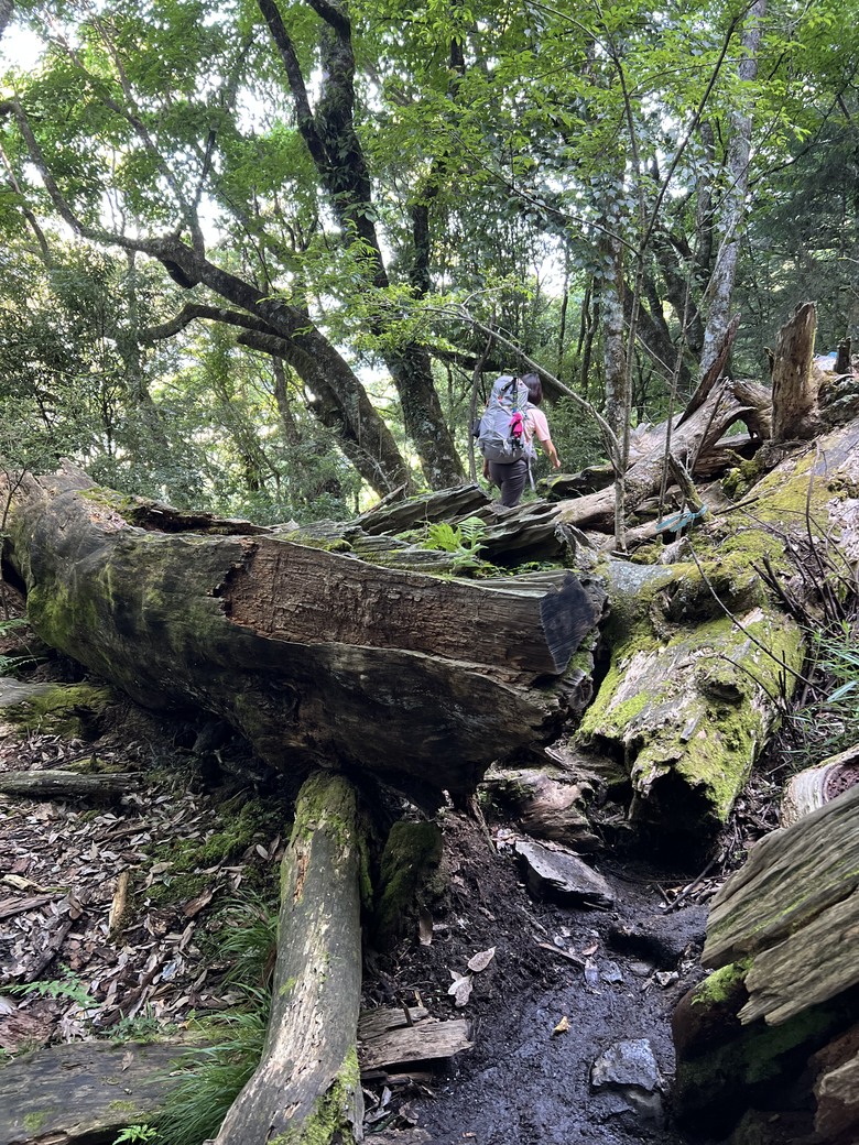 登鈴鳴閂山 ,被颱風追趕