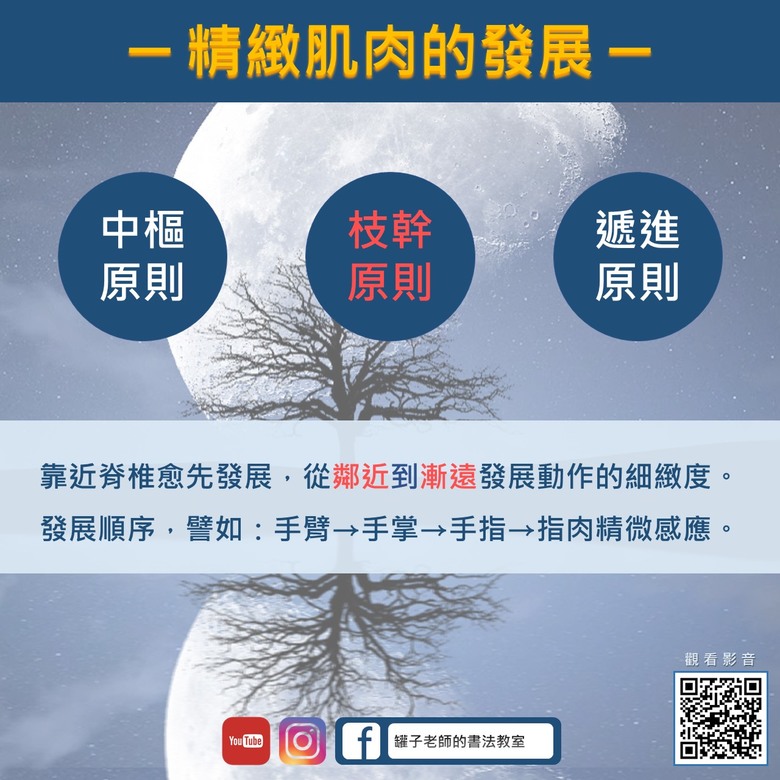 【生理發展】從骨骼發展和精細肌肉觀點談幼兒寫字的適切年齡｜罐子老師的寫字教室、西屯書法家