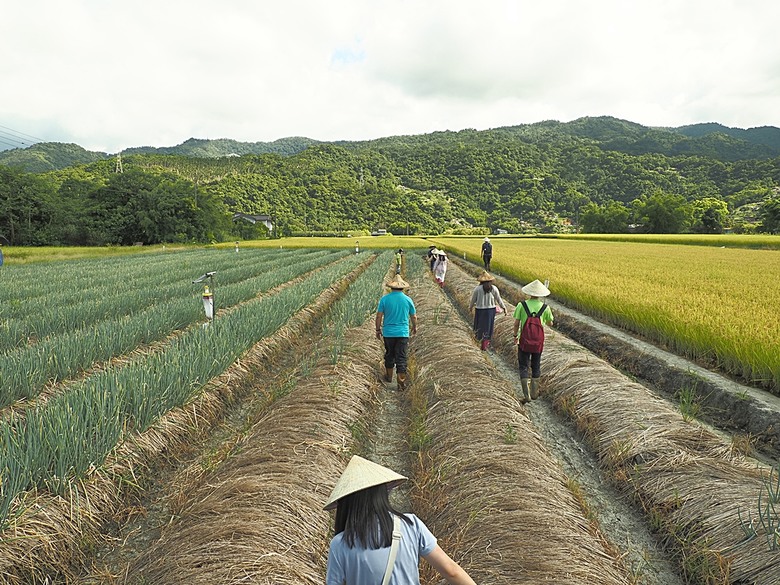 龜山島賞海豚、青蔥農場體驗蔥農生活、享用宜蘭在地無菜單料理 — 讓大腦放空休息一天之員工旅遊