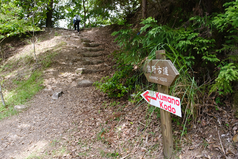 【熊野古道 Kumano Kodo】唯二的世界文化遺產朝聖之路 |中邊路38公里徒步之行