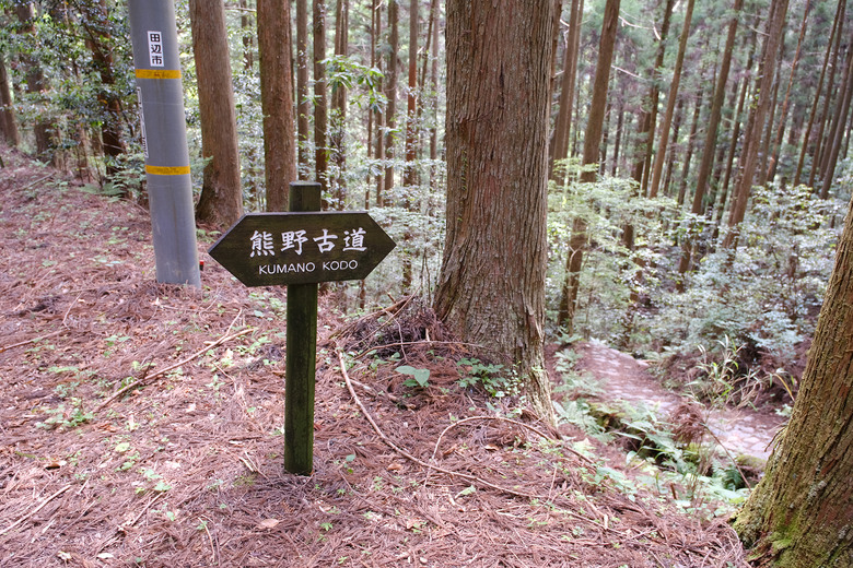 【熊野古道 Kumano Kodo】唯二的世界文化遺產朝聖之路 |中邊路38公里徒步之行