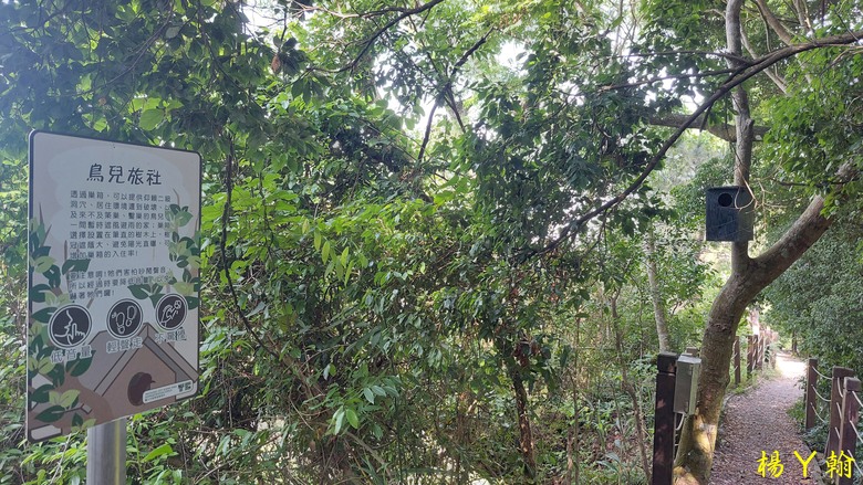 【台灣小百岳】攀登特色圓木棧道 大坑3號步道登頭嵙山