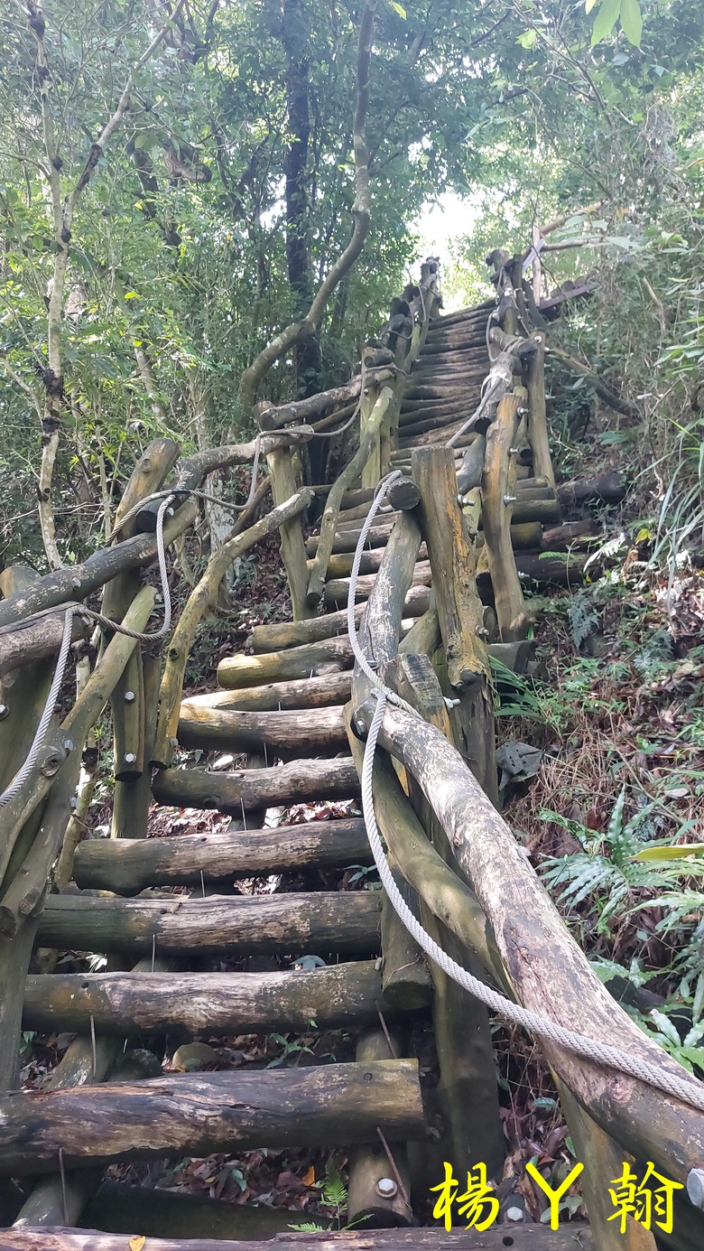 【台灣小百岳】攀登特色圓木棧道 大坑3號步道登頭嵙山