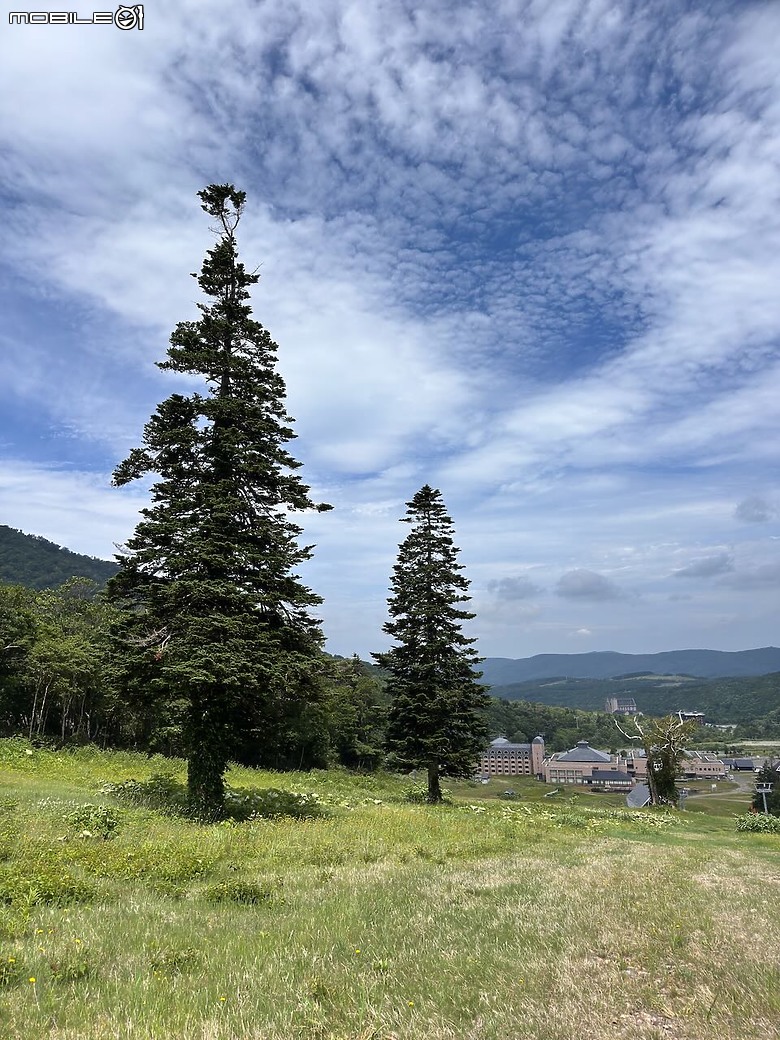 點我看大圖 北海道夏日健行|從 Club Med 出發,輕鬆走進余市岳登山口的森林步道