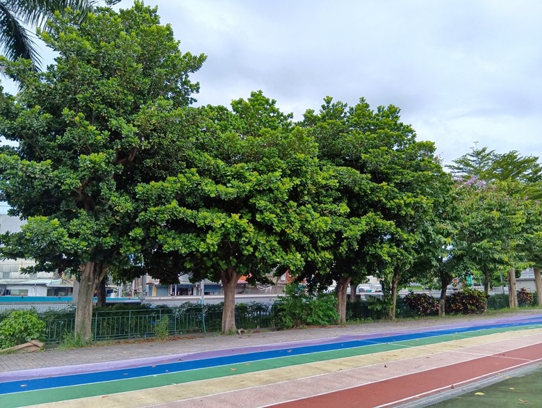 SHARP AQUOS wish5簡單開箱體驗