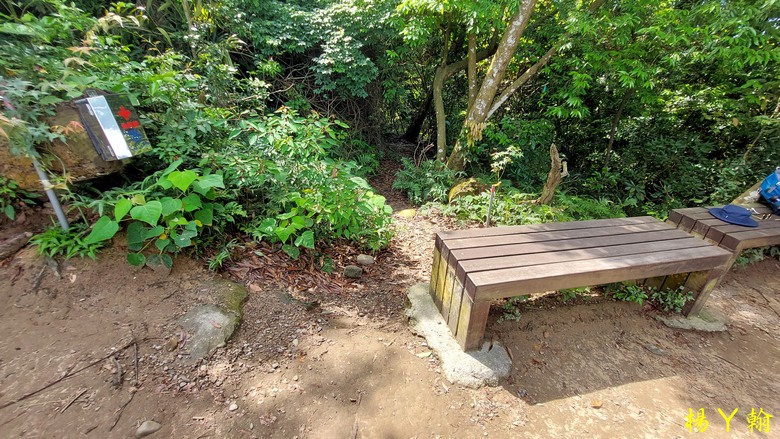 【台灣小百岳】攀登特色圓木棧道 大坑3號步道登頭嵙山