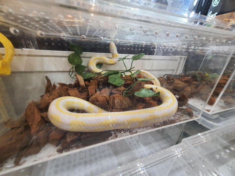 #分享 我的台北寵物展初體驗！超級滿意😍