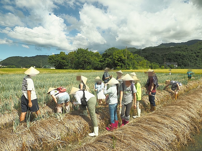 龜山島賞海豚、青蔥農場體驗蔥農生活、享用宜蘭在地無菜單料理 — 讓大腦放空休息一天之員工旅遊