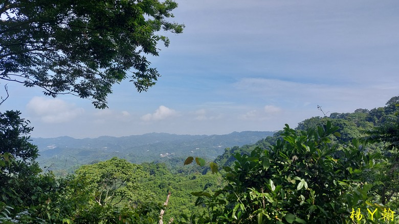 【台灣小百岳】攀登特色圓木棧道 大坑3號步道登頭嵙山