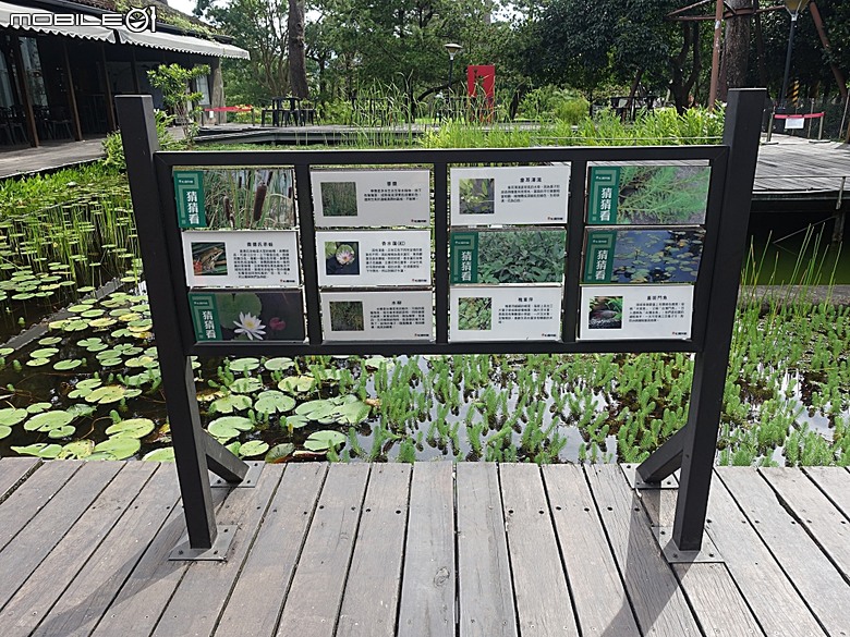 花蓮將軍府1936、花蓮港放送局1944、松園別館、花蓮文化創意產業園區、台灣鐵路局花蓮管理處處長官邸、野光 Fluorescent (原：黑金通) — 花蓮市區3小時快閃行旅