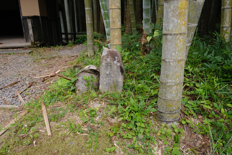 【熊野古道 Kumano Kodo】唯二的世界文化遺產朝聖之路 |中邊路38公里徒步之行