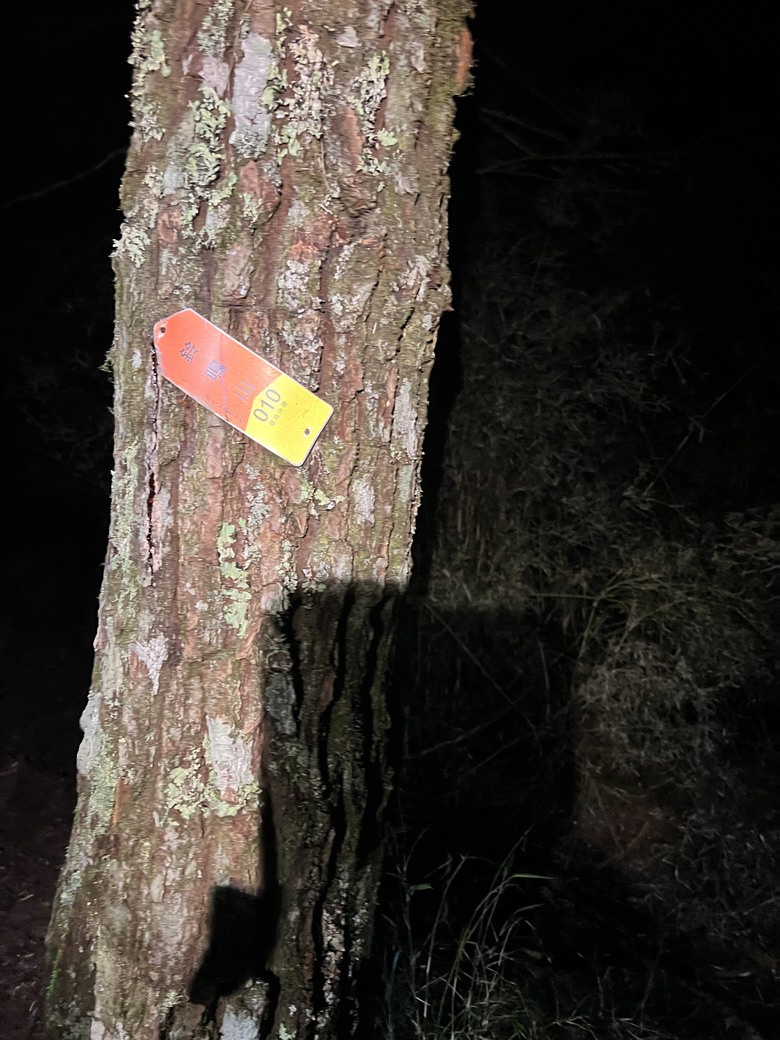 登鈴鳴閂山 ,被颱風追趕