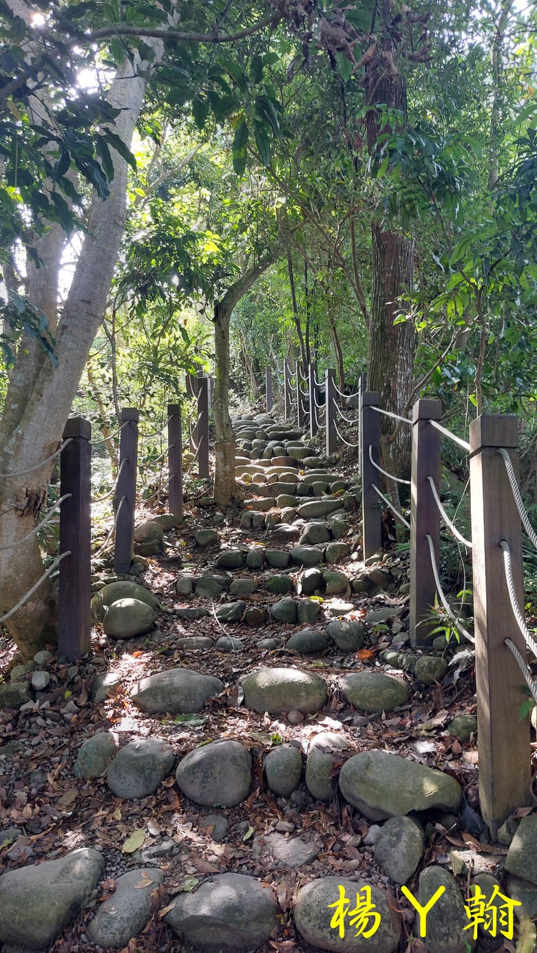 【台灣小百岳】攀登特色圓木棧道 大坑3號步道登頭嵙山